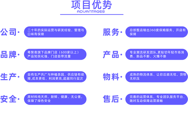 项目优势